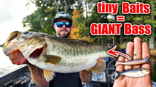 PB Bass Shattered using the LEAST likely Bait!