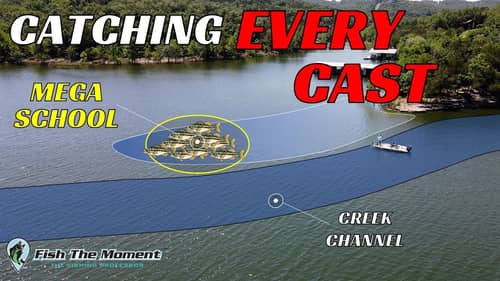 Easy Summer Pattern To Catch Bass All Day Long | Shallow Vs. Offshore Challenge
