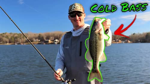 Pre-Spawn COLD FRONT Bass Fishing (Foolproof Techniques)