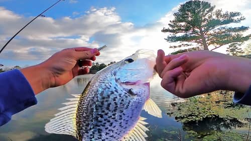 Artificial LURES For CRAPPIE and BASS! Winter Fishing Tips!