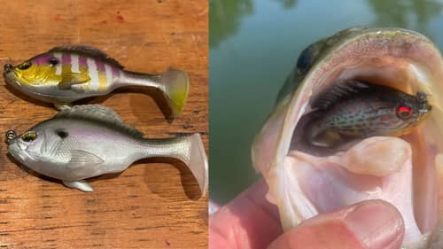 The New Megabass Sleeper Gill May Be The Best Swimbait Ever Created…
