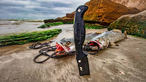 fishing using only this saltwater survival knife - CATCH AND CLEAN