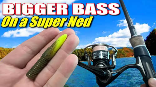 This SUPER Ned Catches BIG BASS
