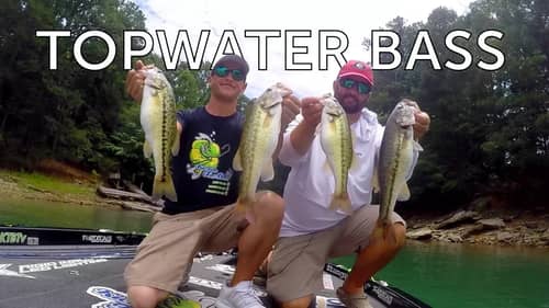 Fishing for MONSTER Spotted Bass with Fluke Master !