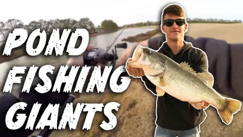 Fishing for GIANTS in 29 Degrees (Winter Bass Fishing)