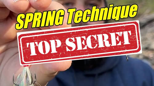 Secret Spring Technique ANYONE Can Use