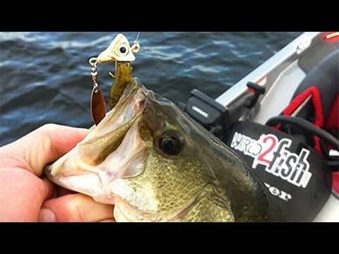 How to Fish Under Spins (Fish Head Spins) for Bass