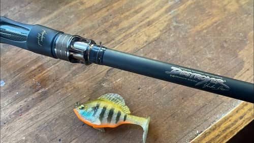 The 2 Worst Mistakes Anglers Make Buying Fishing Rods…