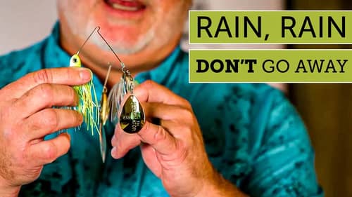 Bass Fishing Tip : How to Fish on Rainy Days