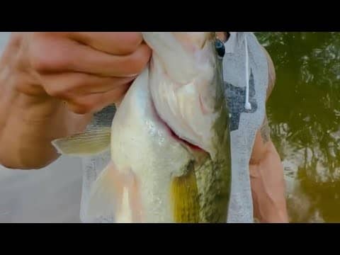 The Bass Fishing Video That Got Over 10 Million YouTube Views…(All-Time Record)