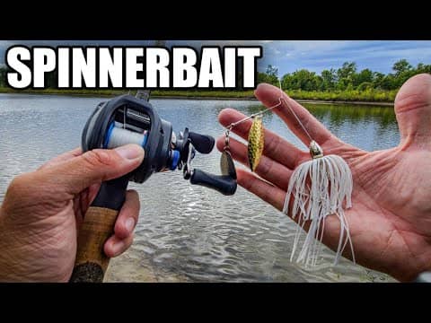 Spinnerbait Fishing for Fall Bass (WHY DOES IT WORK?)