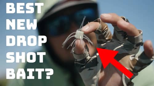 Is This Crazy Japanese Lure The Best Drop Shot Bait On The Market?