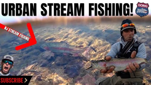 URBAN STREAM FISHING!!