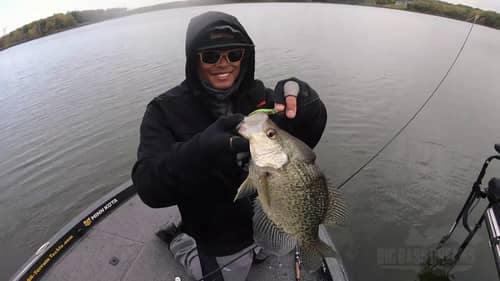 Monster Crappies with Bass Brawl Outdoors