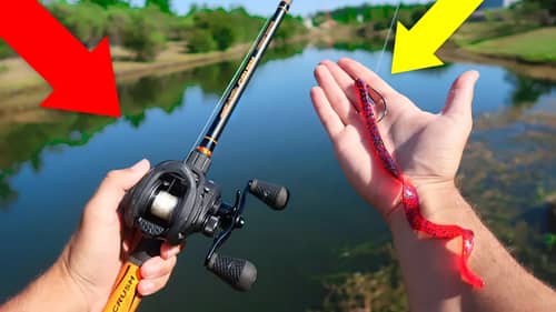 Searching for GIANT Bass w/ BIG Worms (Bank Fishing)