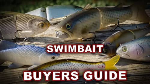 Which Swimbaits Catch Fish? | Buyer's Guide