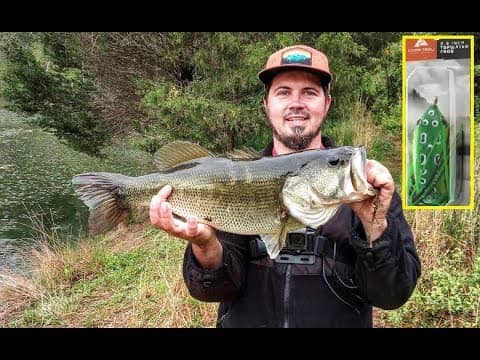 BASS DESTROY THIS $2 WALMART FROG   || EPIC DAY OF TOP WATER BLOWUP"S ||  HUGE BASS NEW PB