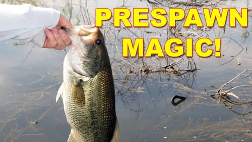 How To Find And Catch Bass In Early Spring | How To | Bass Fishing