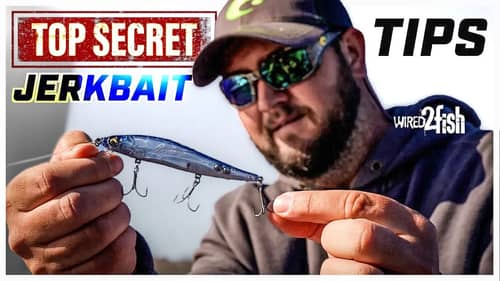 How to Get the Best Jerkbait Action | Hooks, Rod and More