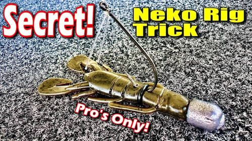 The Pro's Secret Neko Rig Trick