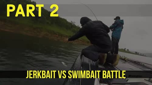 Jerkbait vs Swimbait Battle Part 2