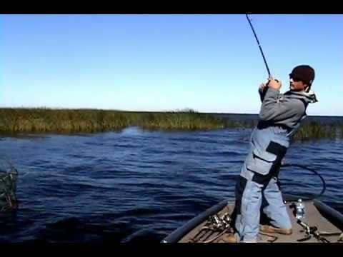 lake okeechobee 12 28 9 pound bass flippin 1 5oz  d&m custom baits big mamma 001