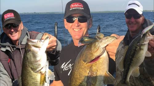 Learn To Specifically Target Largemouth/Spotted And Smallmouth Bass