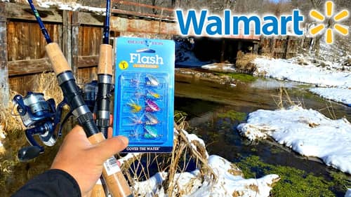 $20 Walmart Creek Fishing 1v1 CHALLENGE!!! (Watch til the End)