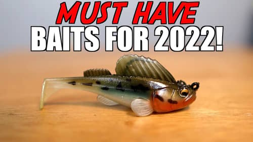 5 MUST HAVE Baits for 2022!