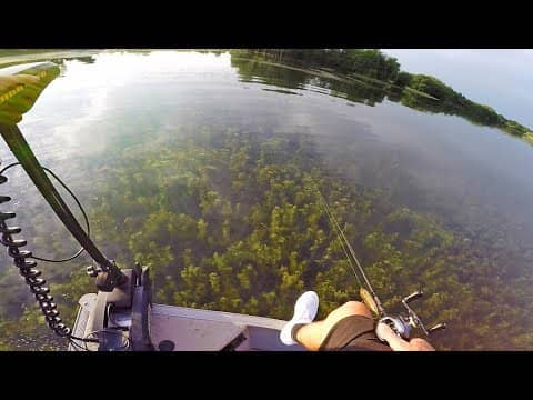 ULTRA Clear Water Fishing in Heavy Grass *Topwater Bites*