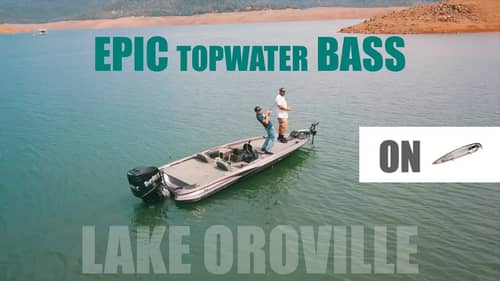 GIANT BASS Hits Top Water!!! EPIC Lake Oroville Fishing