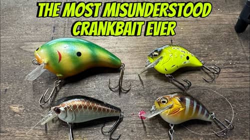 99 Out Of 100 Anglers Fish Squarebill Crankbaits Wrong…(Here’s The RIGHT Way)