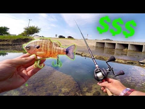 Why This Lure is WORTH $110 -- City Pond Fishing with BIG Baits!