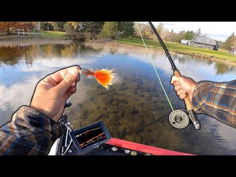 I Didn't Think Fly Fishing Was THIS Much Fun (Legendary Fishing Day)