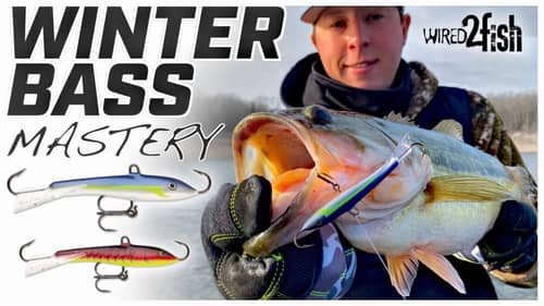 How to Fish the Rapala Jigging Rap for Open Water Bass