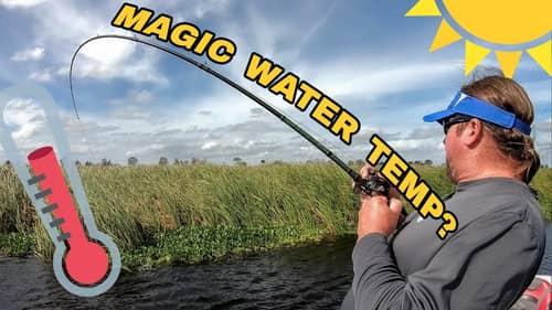 Water Temp is EVERYTHING in Bass Fishing