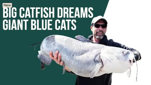 Big Catfish Dreams - Monster Blue Catfish on the James River, Virginia