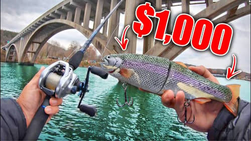 Fishing With the Most EXPENSIVE Swimbait I Own! (It WORKED!!)