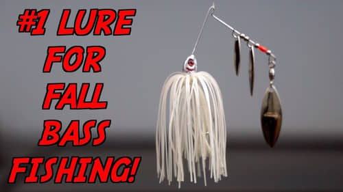 The ONLY Fall Bass Fishing Lure You NEED!