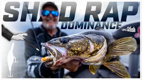 The Rapala Shad Rap Legacy: A Chat With Al Lindner