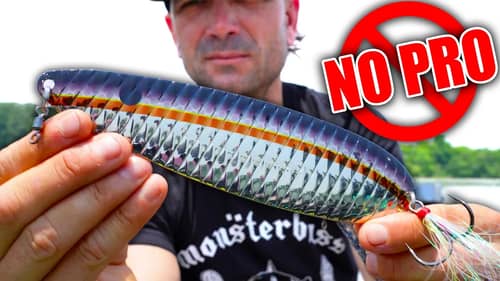 What the PROS Don't Tell you About Flutter SPOON Bass Fishing