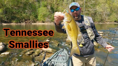 Tennessee Springtime Smallmouth Fishing