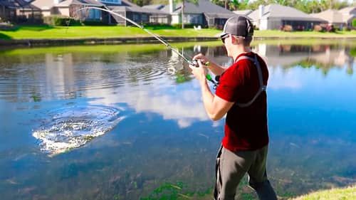 Pond Fishing for GIANT Bass w/ BIG Jigs & Swim Jigs