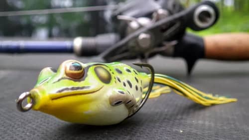 Catch More Bass With The Frog!