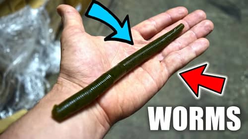 This SOFT PLASTIC Worm RIG Works anywhere!?!? (I got SCHOOLED)