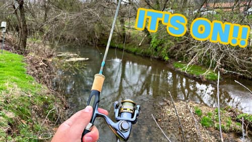 This Ultralight Lure Gets ALL The FISH