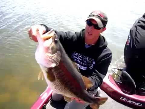 11 Pound Largemouth Bass on Jig- Caught and Released on Lake Fork