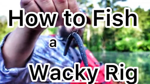 How to Fish a Wacky Rig and Other Details about a Senko