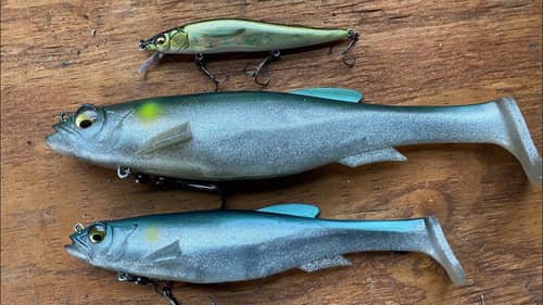 Why Big Swimbaits Are Ignored By Average Anglers And Used By Pros
