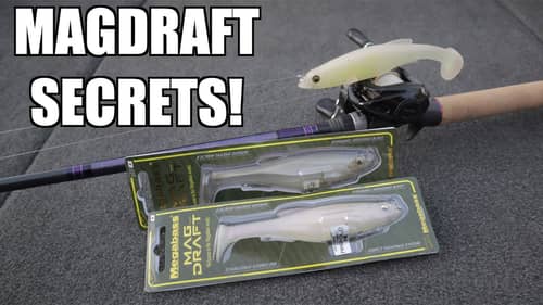 How to Fish the Megabass Magdraft Swimbait!